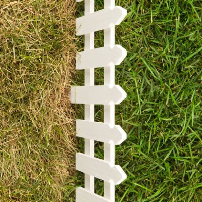 Greener directional signposts on grass